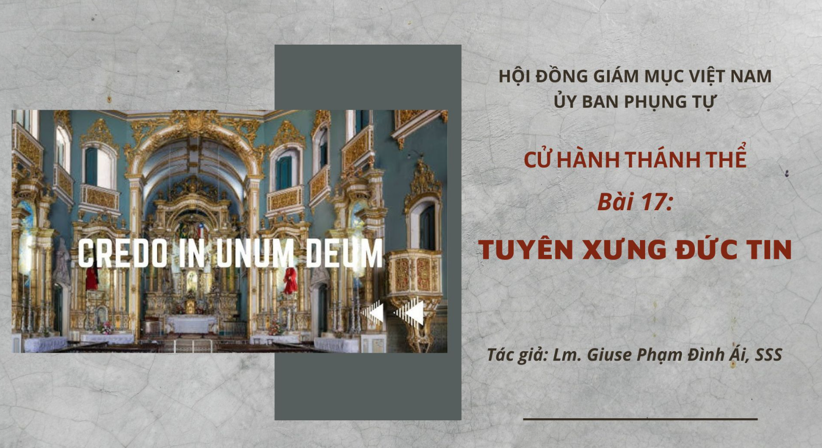 Cử hành Thánh Thể: Bài 17 - Tuyên xưng đức tin